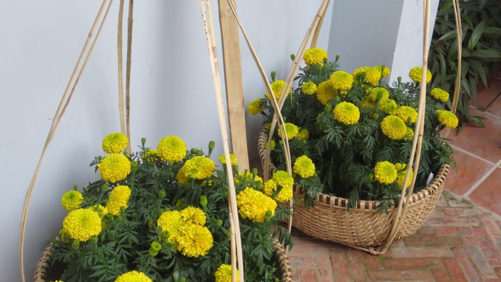 Charming Homestay Hội An Buitenkant foto