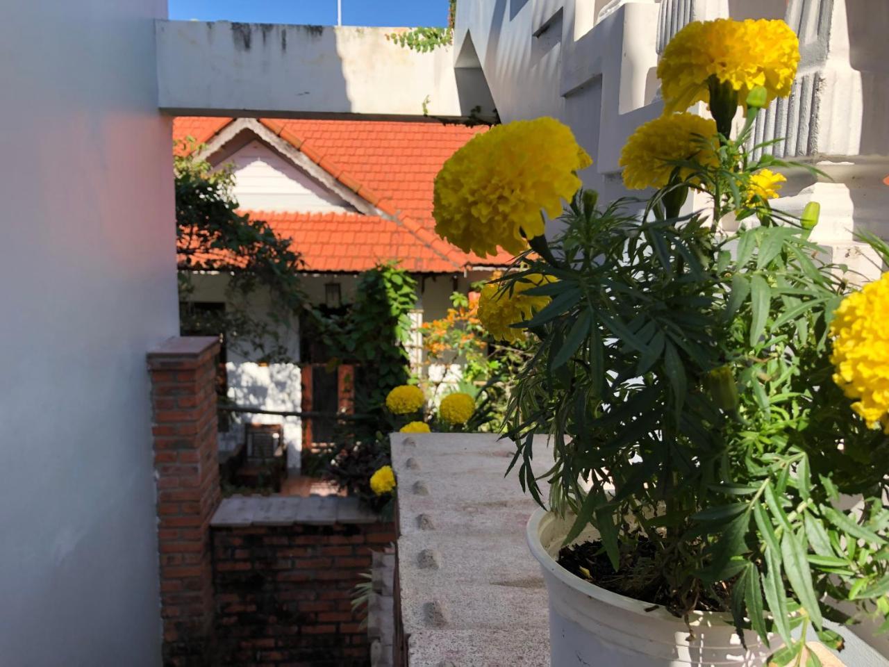 Charming Homestay Hội An Buitenkant foto